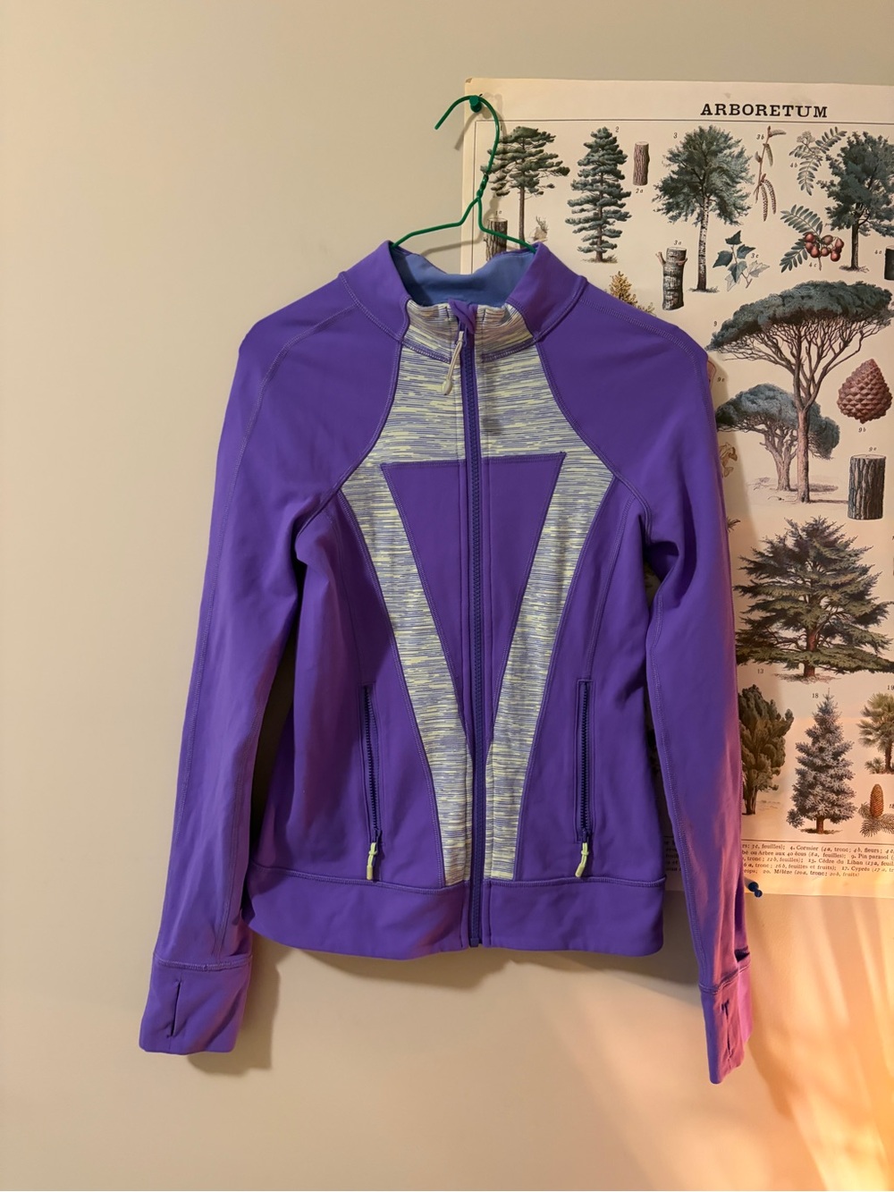 Iviva Purple Zip Up Jacket Size 12